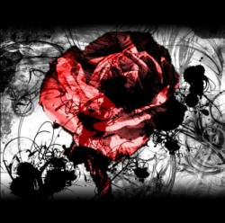 Roses Bleed Thorns : Demo '08